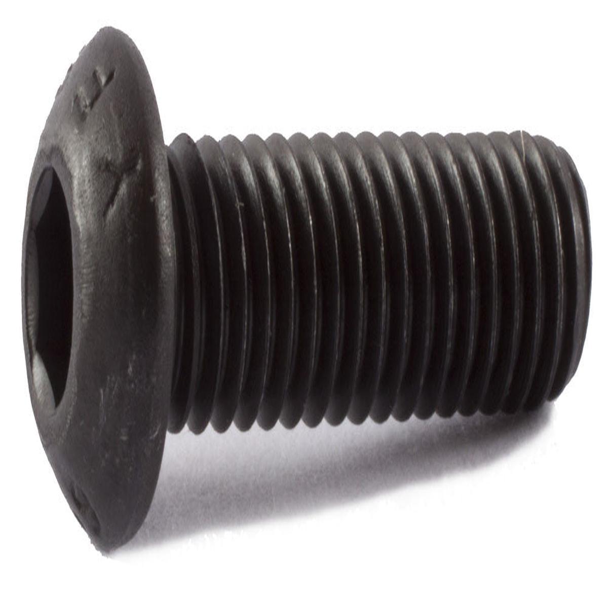 M6-1.00 x 16 Button Socket Cap Screw 12.9 Alloy ISO 7380 Black Oxide - Metric
